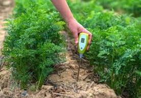 Soil meter probes